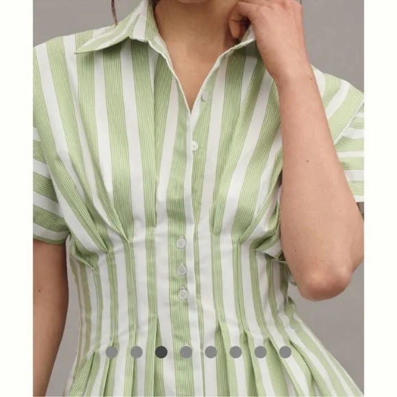 Anthropologie Exquise Tobbie Button Front Pleated Waist Mini Dress medium - Picture 2 of 5